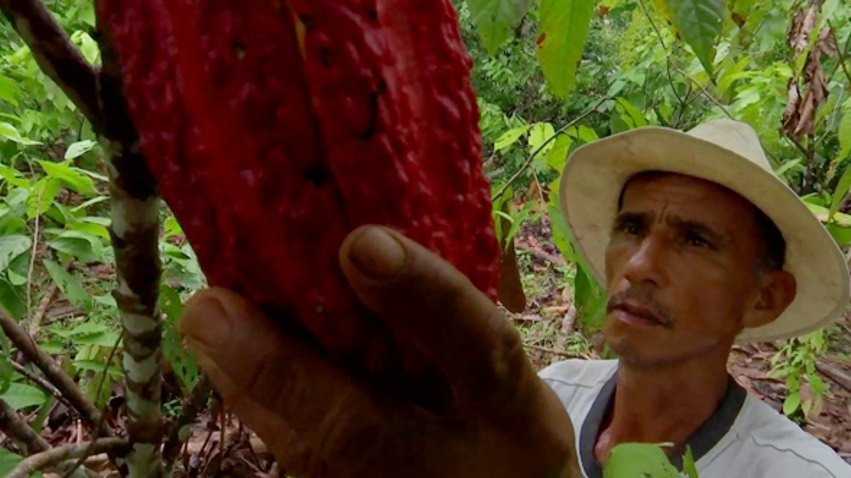 Caquetá seguiniento