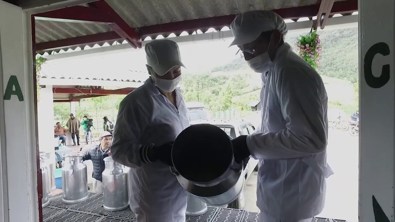 ayuda colega