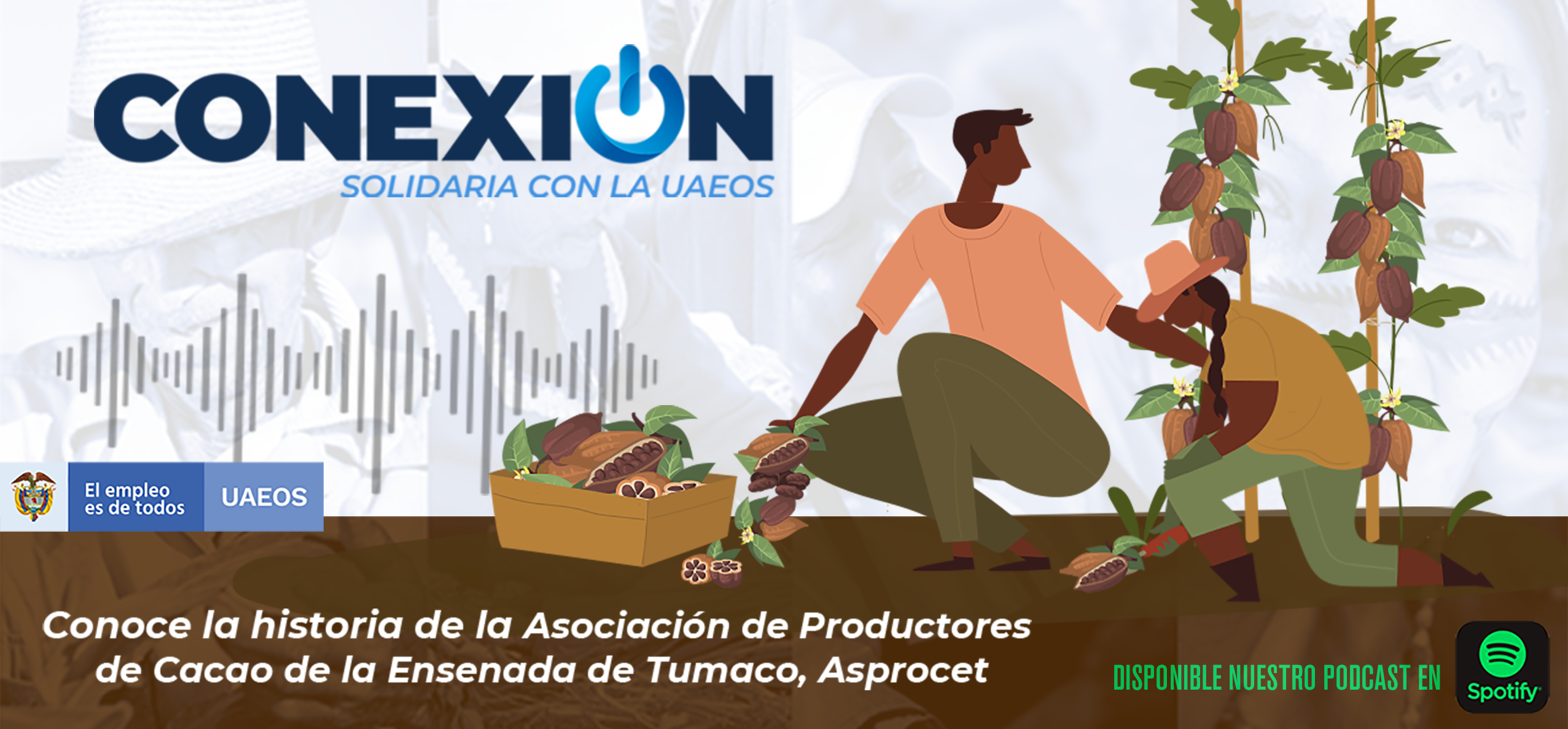 Asprocet Podcast Conexión Solidaria