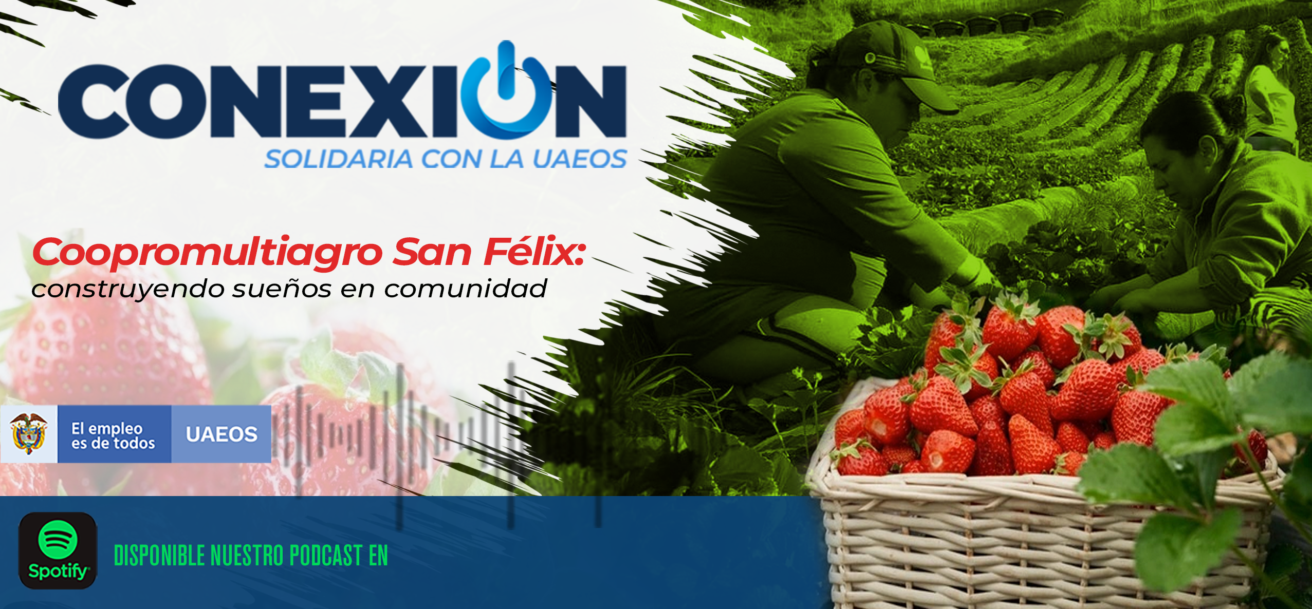 San Félix Coopromultiagro