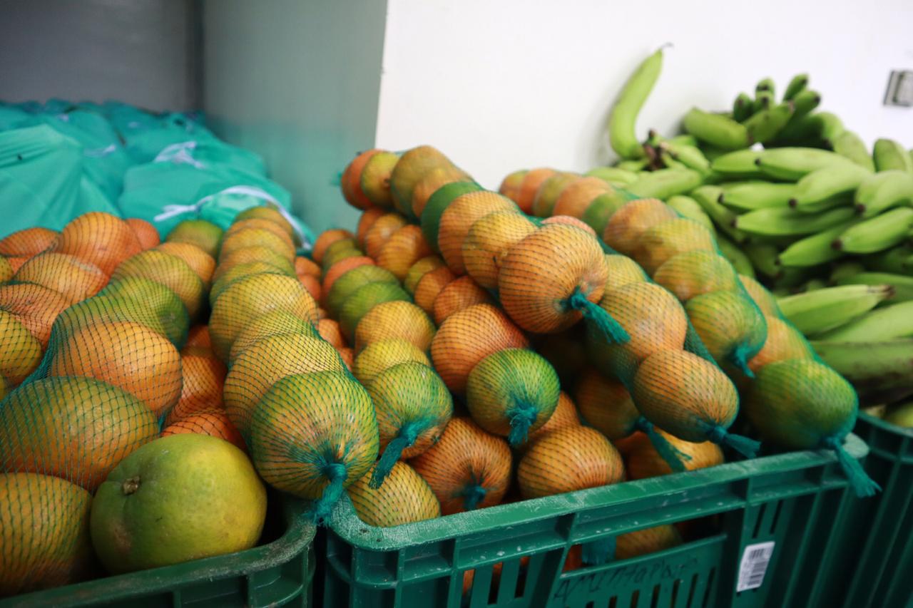 Mercados Campesinos Solidarios