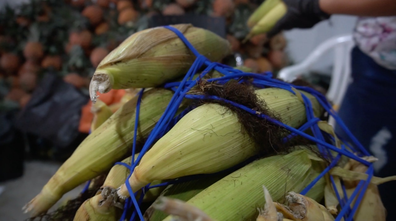 Mercado Campesino