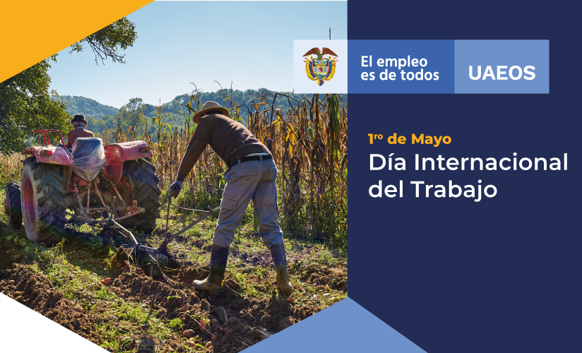 dia trabajo