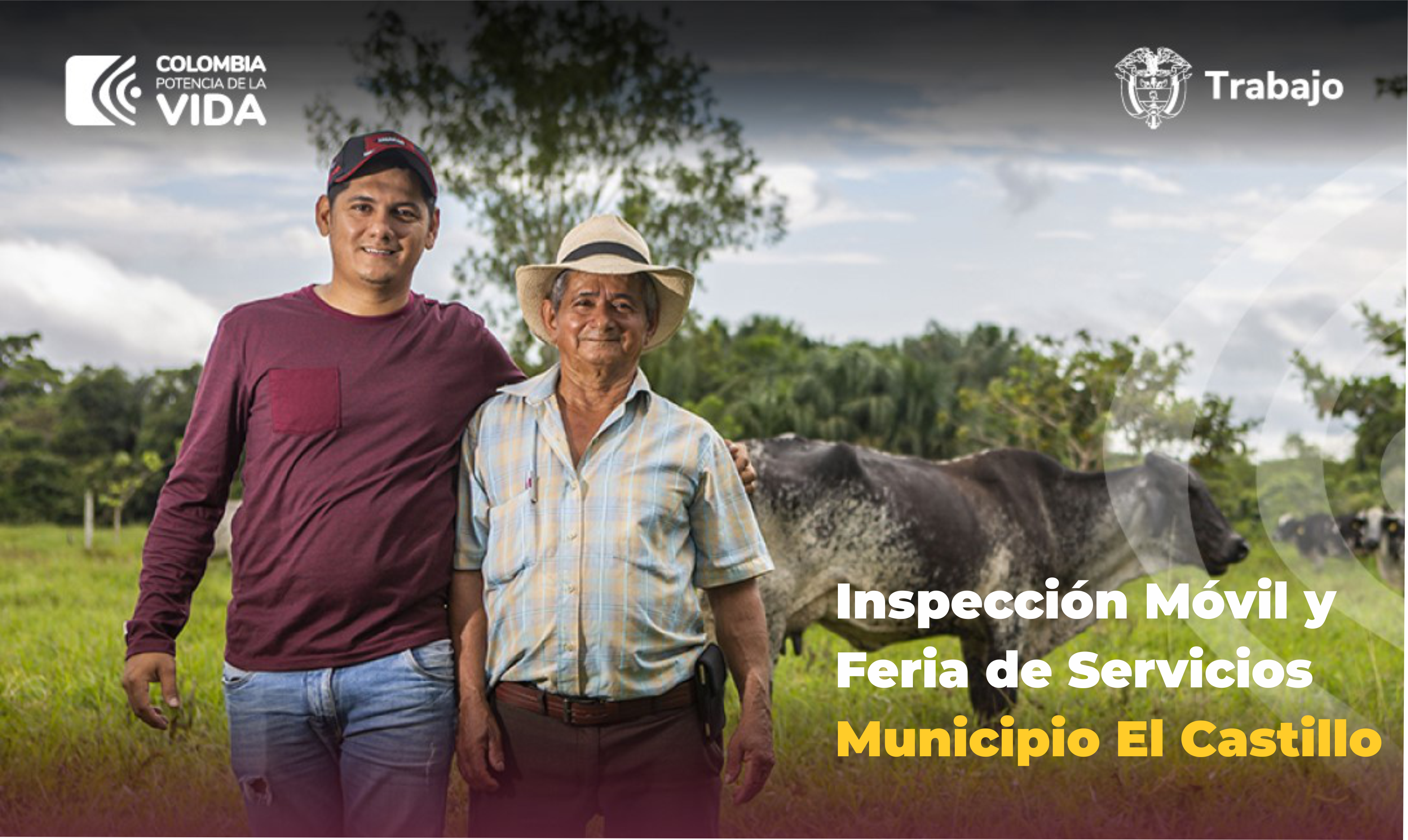 Meta Inspección Móvil