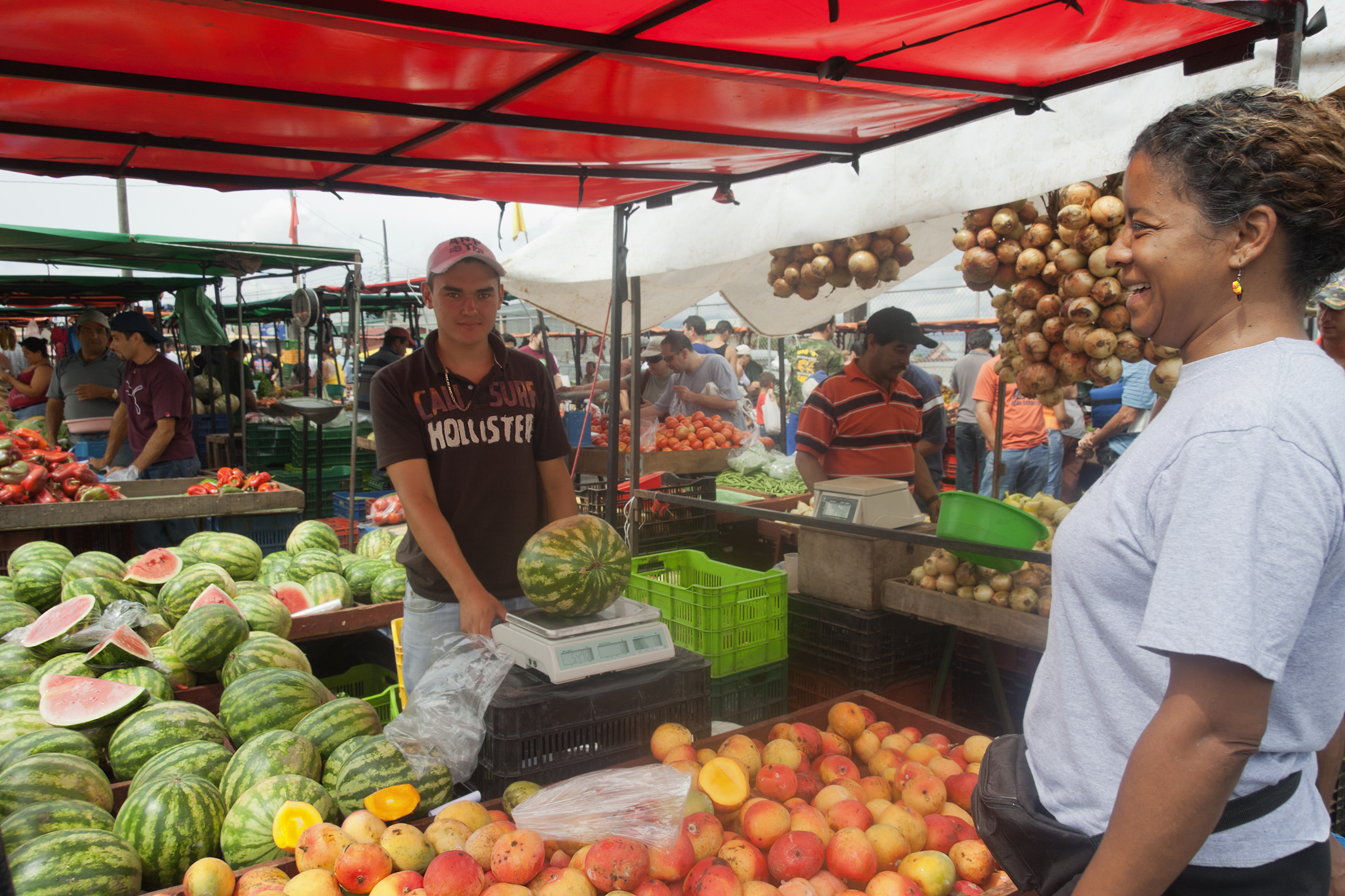 Locales Compras Públicas
