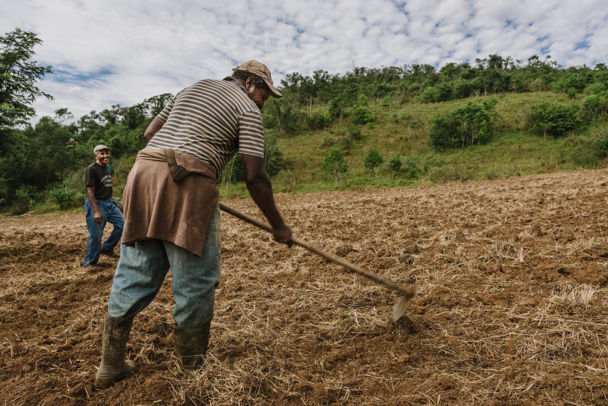 Agro colombiano genera 4,8 millones de empleos Agro colombiano genera 4,8 millones de empleos
