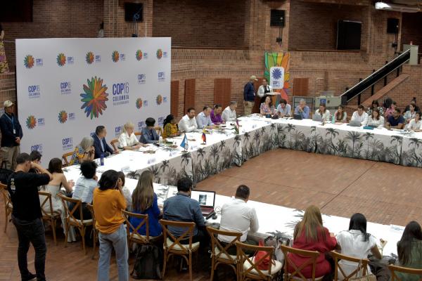Encuentro de Economías para la Vida Encuentro de Economías para la Vida