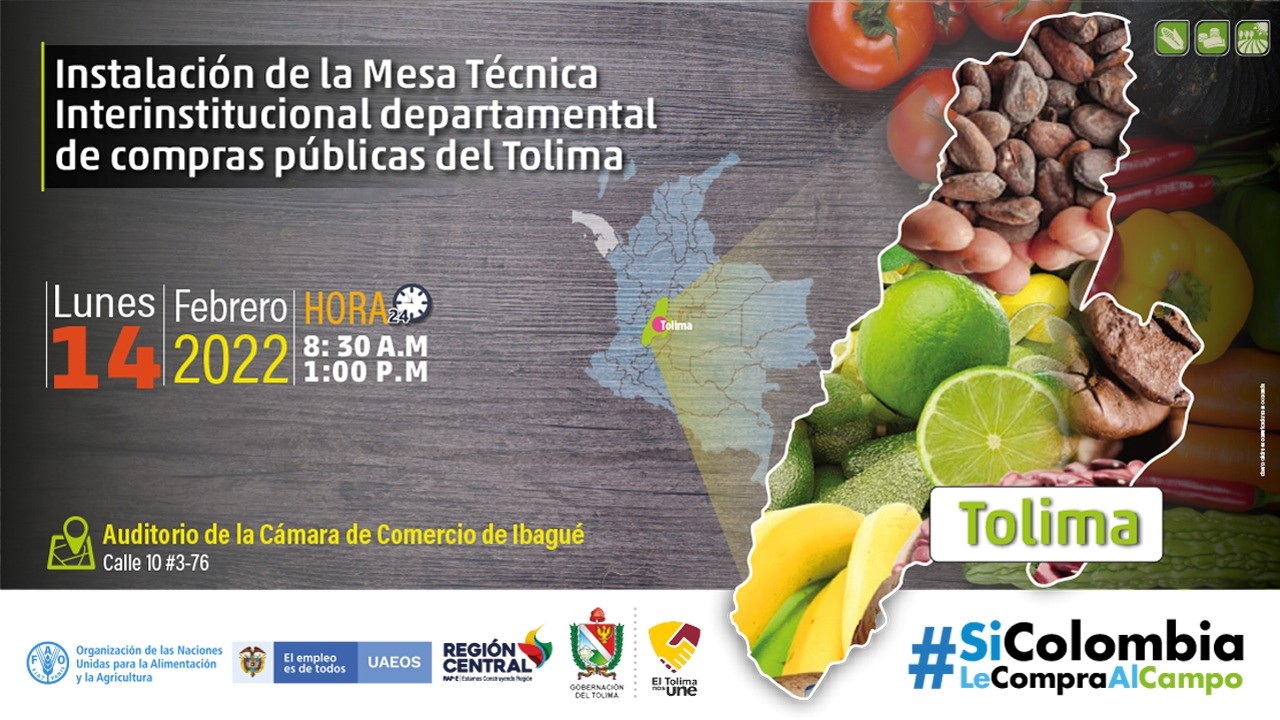 Mesa Técnica de Compras Públicas Locales del Tolima