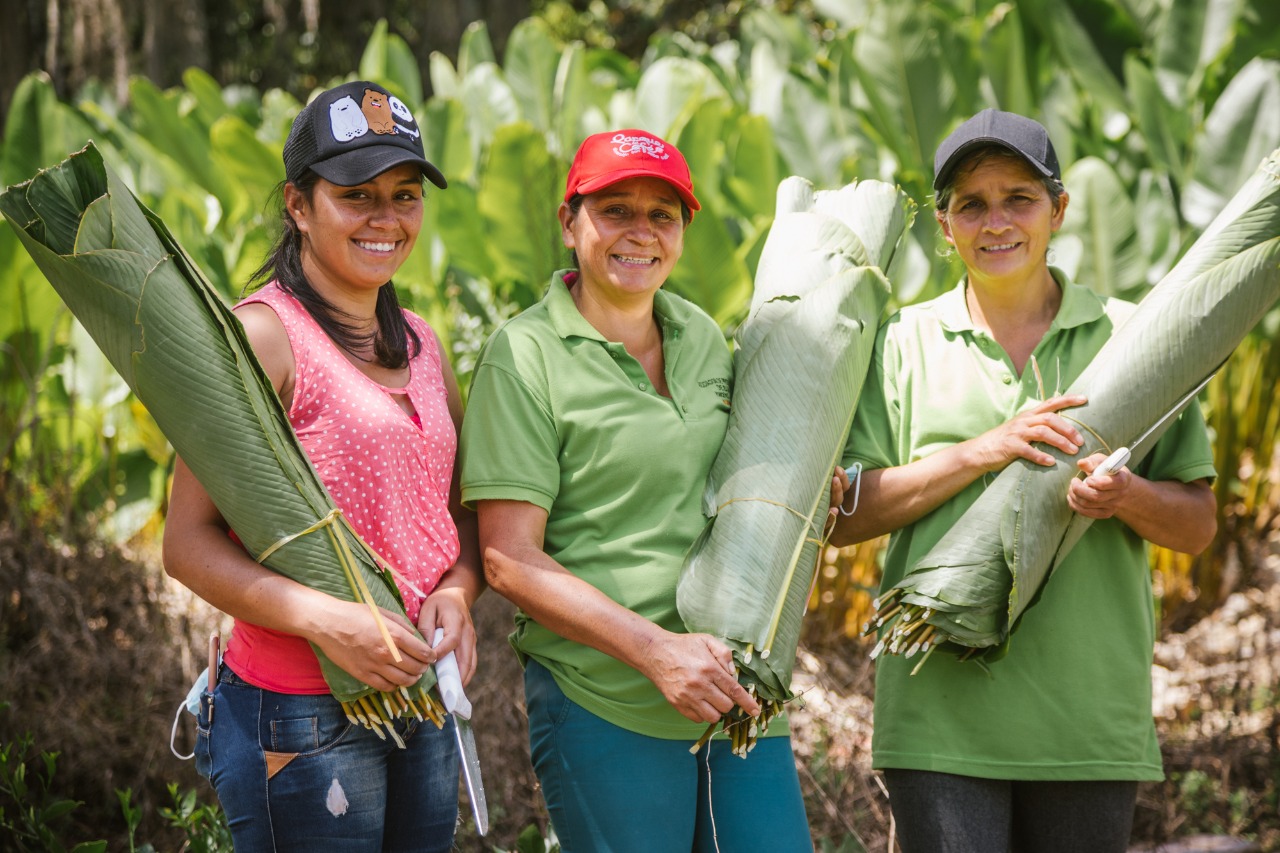 Rural Mujer