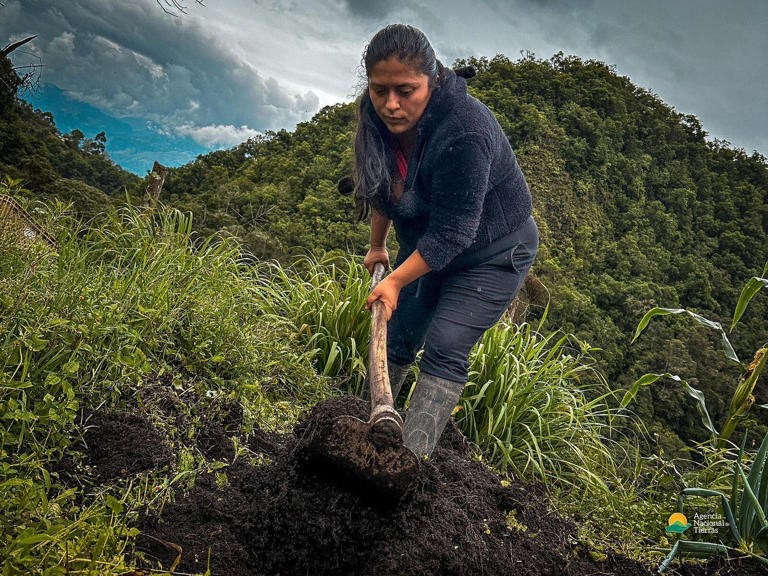 Colombia será la sede de la conferencia de reforma agraria 2026 Colombia será la sede de la conferencia de reforma agraria 2026