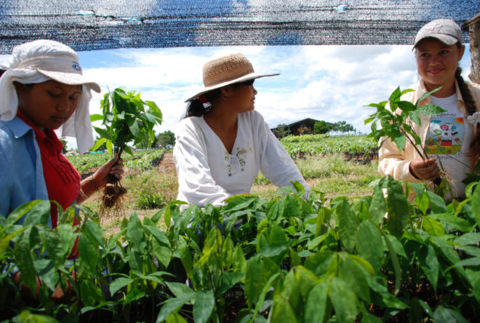 equidad de género mujer rural