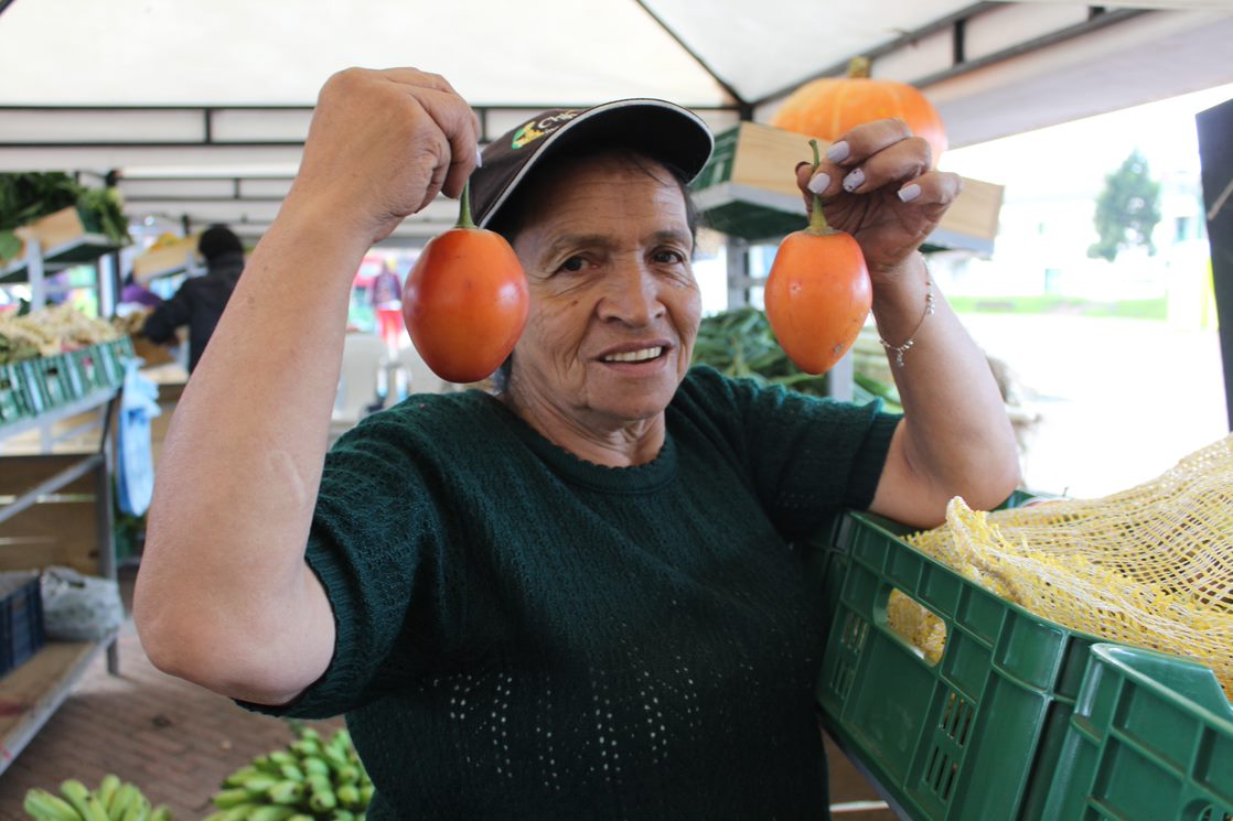 Mercados Campesinos Solidarios Mercados Campesinos Solidarios