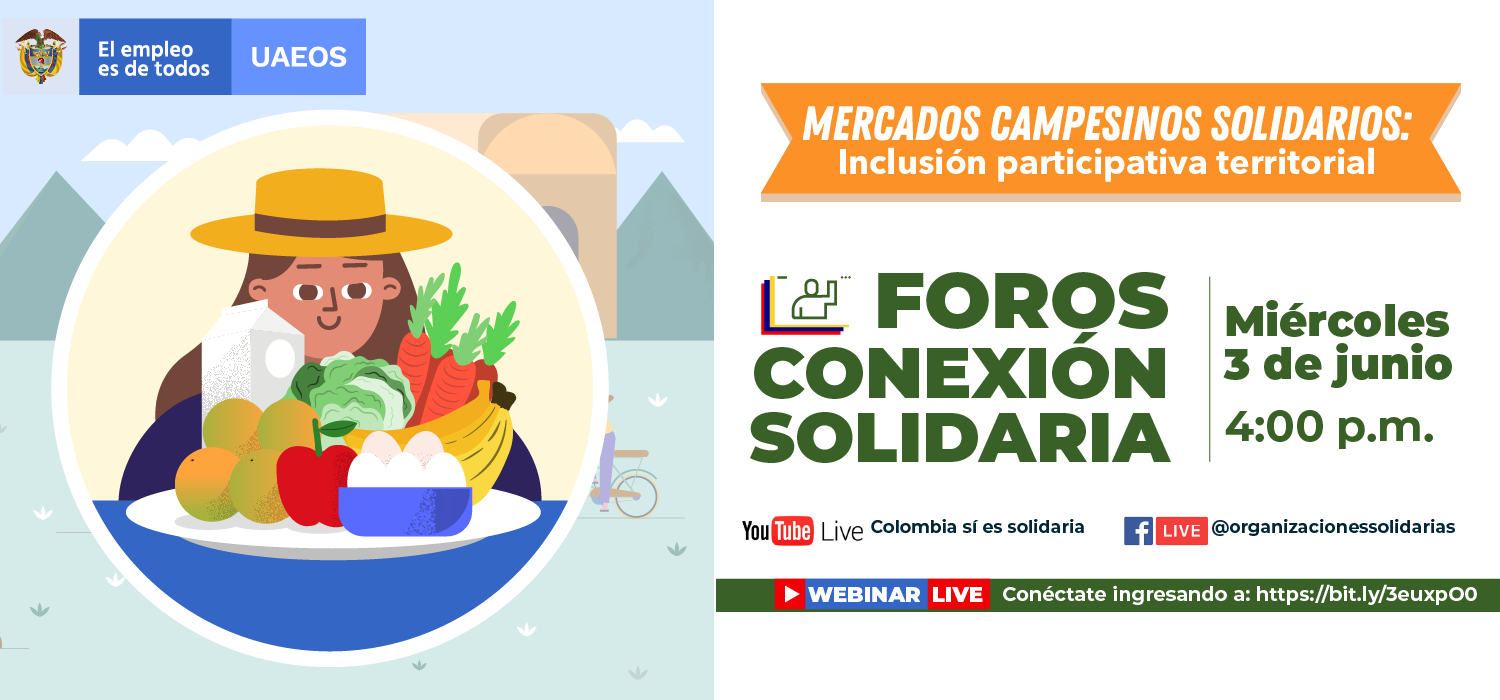 Conexión Solidaria Foros