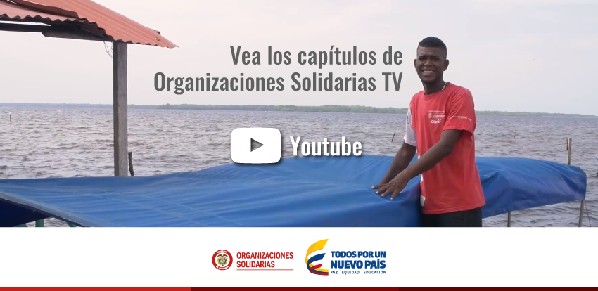 Vea Organizaciones Solidarias TV por YouTube Vea Organizaciones Solidarias TV por YouTube