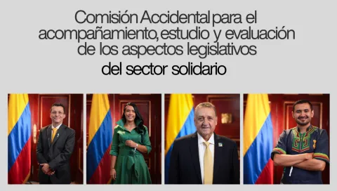 Comisión Accidental del Congreso