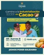 La Unidad Solidaria impulsa la industrialización del cacao en Colombia 