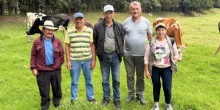 Cundinamarca destina $5.000 millones para comprar y transformar leche de asociaciones productoras