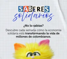 Aprendamos sobre economía solidaria con Soli