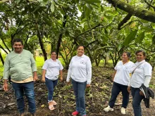 El cacao como punto de encuentro de la asociatividad