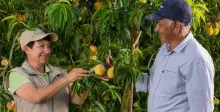 IV Feria Agrobío: conocimiento y oportunidades para fortalecer el campo colombiano