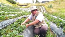 Mercados
