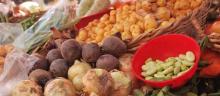Nace la 1ra Confederación Nacional de Pequeños y Medianos Productores Agropecuarios