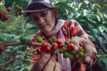Personas dedicadas a labores del hogar son las que más productos de depósito tienen