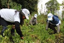 La UAEOS participó en el Foro del Acuerdo Nacional Contra el Hambre