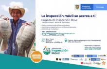 Inspección