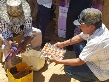 La UAEOS realizará la Agroferia Regional en el marco del día de la Mujer Rural en la Guajira
