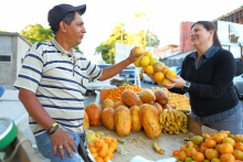 Gobierno del Cambio incentiva la vinculación de productores campesinos como proveedores en programas del Estado