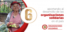 Cumplimos 6 años