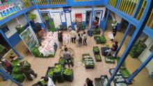 ¡Exitosa! Así fue la jornada de mercados campesinos en departamento de Tolima 