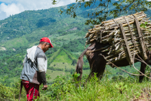 Proyectos de economía solidaria que EPM fortalece en Antioquia
