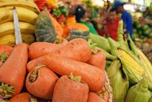 32 ruedas de negocios para la compra pública de alimentos