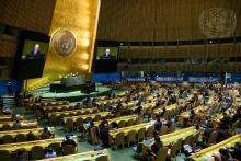 Asamblea