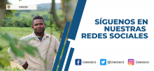 Redes