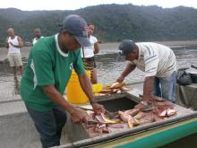 pesca