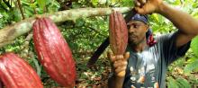 Campesinos del Catatumbo firman pacto para retomar vocación agraria