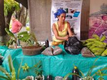 En Cúcuta se construye economía solidaria