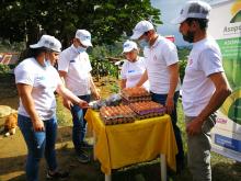 Mercados Campesinos Solidarios navideños
