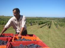 AGROSOLIDARIA