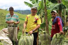 Unidad Solidaria invita a productores y tenderos de Colombia a Unirse a la Red Nacional de Tiendas Solidarias