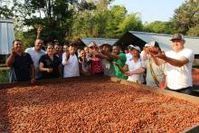 Gobierno Nacional anuncia gran inversión para productores de cacao ¿de qué se trata?