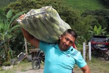 Mercados Campesinos Solidarios