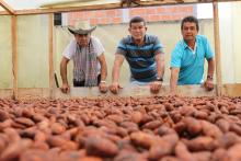 Asociatividad solidaria para la construcción de paz