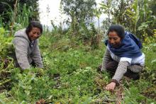 Participe en el Mercado Regional de Mujeres Rurales en Popayán, Cauca