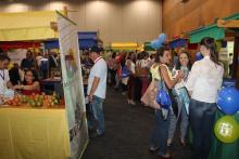 VIII Feria