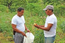 Congresistas proponen impulsar fortalecimiento de cooperativas agropecuarias con nueva ley