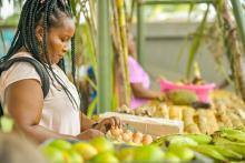 Rueda de negocios de compras públicas impulsa la economía local